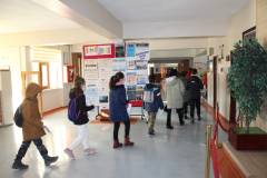 Evrensel Kolej